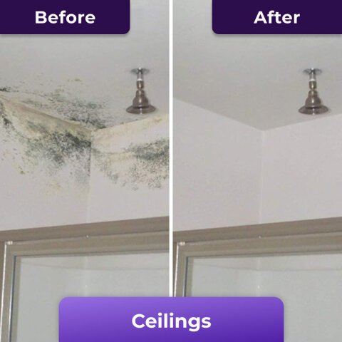 NuroClean image