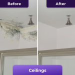 NuroClean image